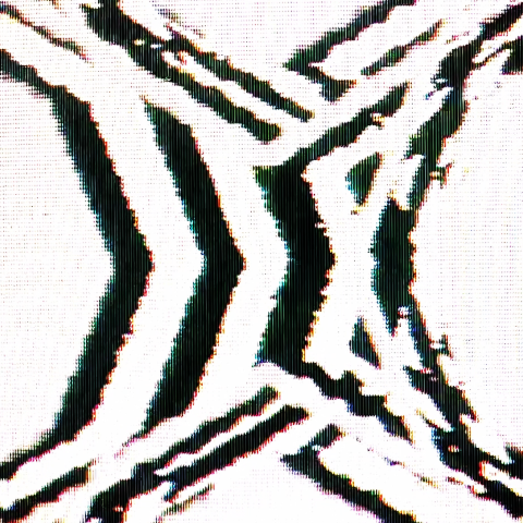 Video 4